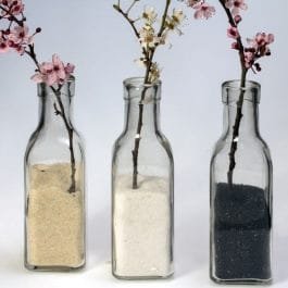 Planta de decoración